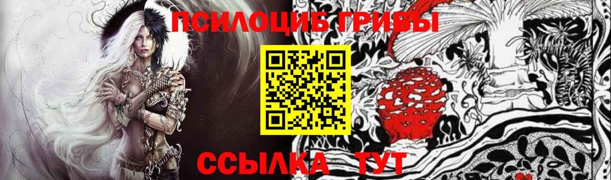 Галлюциногенные грибы Psilocybine cubensis Воронеж